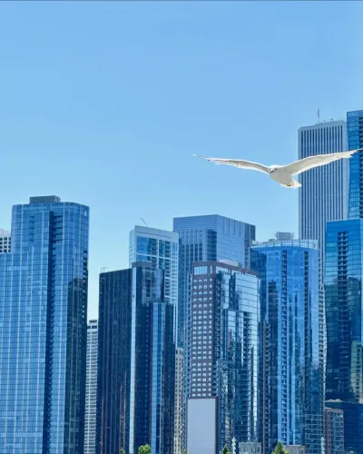 452947975_18449537692013174_3688250190361949368_n